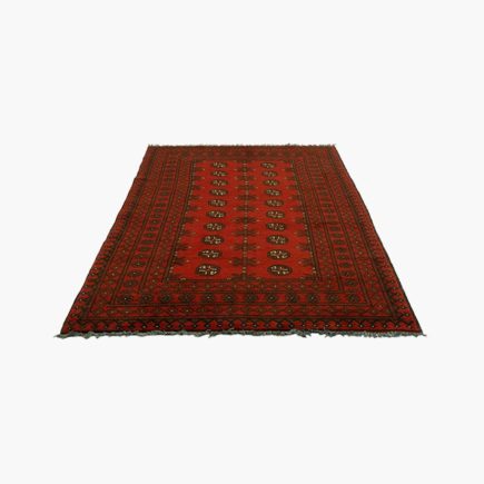 Afghan